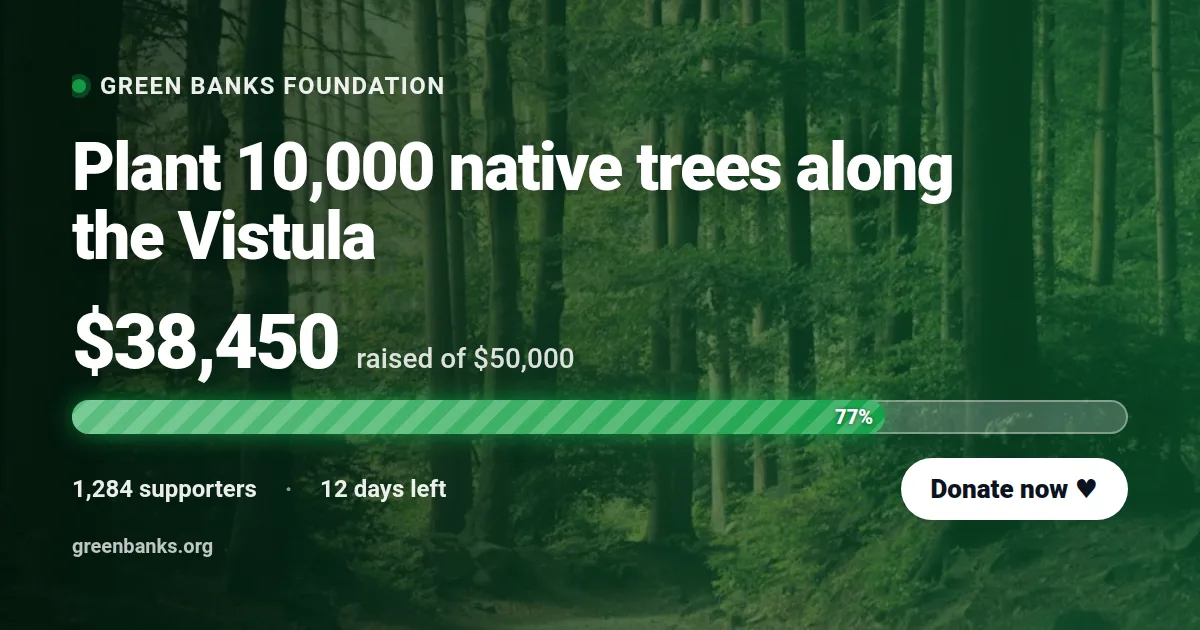 Fundraising goal Open Graph image template rendered by Shareglint